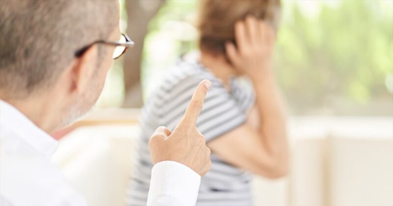 家庭内管理職の夫による主人在宅ストレス症候群対策