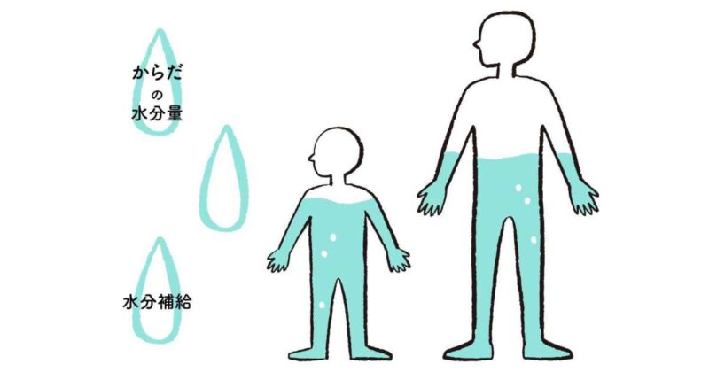 人間の体の水分量